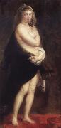 Peter Paul Rubens The little fur oil painting artist